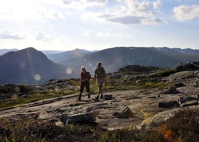 Fjellstoge