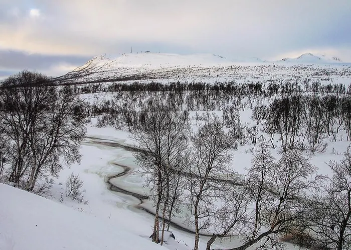 Fjellstoge 3*