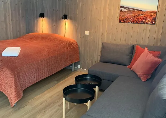 Fjellstoge 3*