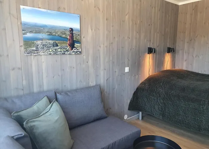 Fjellstoge 3*