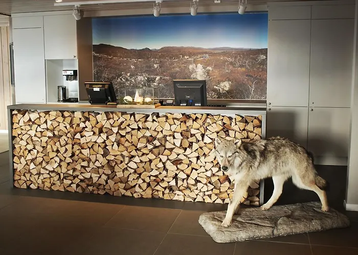 Han/Misafirhane Fjellstoge Hovden (Aust-Agder)