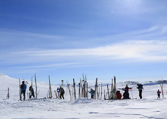 Han/Misafirhane Fjellstoge Hovden (Aust-Agder)
