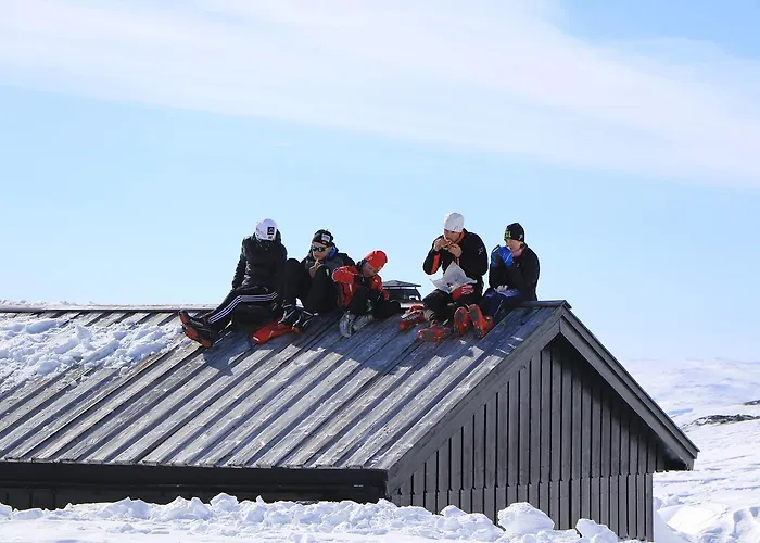 Fjellstoge 3* Hovden (Aust-Agder)