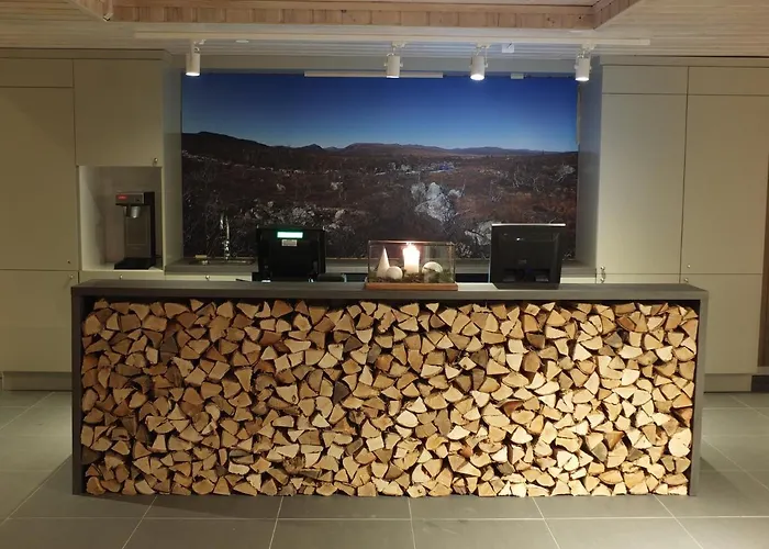 Han/Misafirhane Fjellstoge Hovden (Aust-Agder)